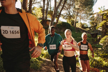 International cross country championship