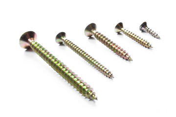 Set of metallic screws of different sizes isolated on white background. 