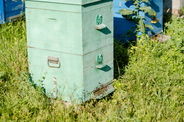 Bees fly out and return to the hive in the summer. Flight of bees near the hive in the garden.