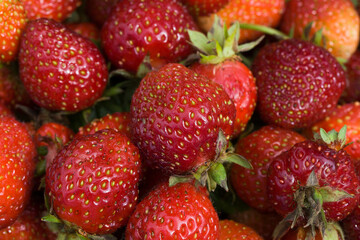 Strawberry. Fresh organic berries macro. Fruit background