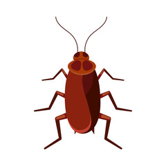 Cockroach vector icon isolated on white background. Brown roach bug logo symbol. Flat design cartoon style beetle illustration.
