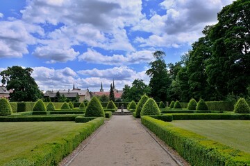 Obraz premium Zakupy castle park, beautiful green.