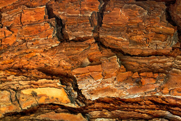 Beautiful wooden texture background