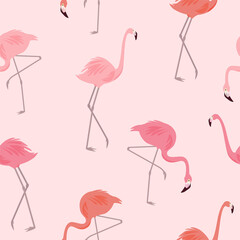 Vector pattern with flamingo. Beautiful seamless texture.