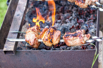 Cooking a barbecue on the fire. Traditional Caucasian kebab on a skewer, cooking meat on skewers. Shish kebab roasting on the grill.