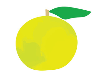 ユズのイラスト