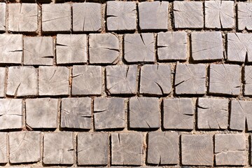 Wooden paving stones, top view.