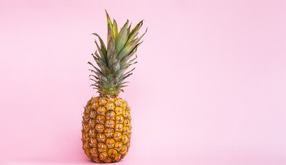 Pineapple pink  background. Banner.
