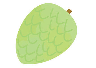 チェリモヤ・チェリモアのイラスト