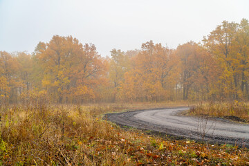 Morning autumn fog over a dry yellow meadow, forest and forest country path. Autumn landscape with fog
