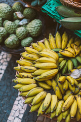 Large basket with yellow and green bananas. Tropical fruits at the farmers market.
