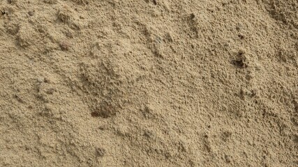 Sand texture. Background of fine river sand.