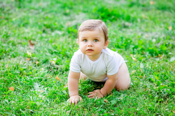 Cute kid in white bodysuit learns to crawl. Healthy toddler crawls on green grass in summer