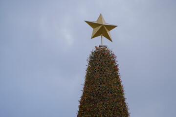 christmas star on a tree