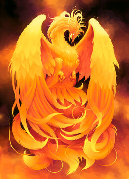 Phoenix Bird Illustration