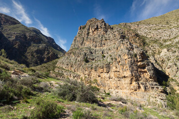 Mountainous landscape with a canyon in the center