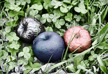 Three colorful poisonous or painted apples in the clover grass. Esoteric, gothic and occult background with magic objects, mystic and fairy tale concept