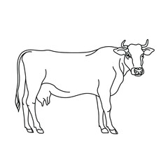 Obraz na płótnie Canvas Cow line drawing. Minimalistic style for logo, icons, emblems, template, badges. Isolated on white background. Vector illustration