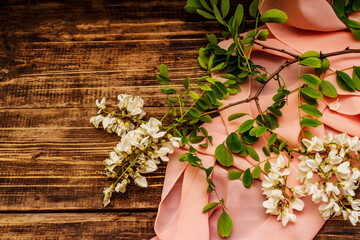 Fototapeta na wymiar Fragrant flowers of acacia. Gentle scarf, romantic mood concept