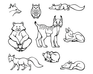 Vector set of forest animals. Hand drawn stock illustration of creatures isolated on a white background. Fox, bear, deer, owl, lynx.
