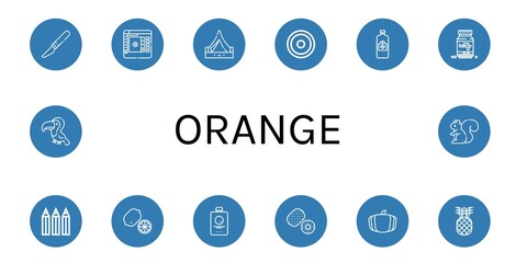 orange simple icons set