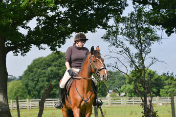 Obraz premium Pretty horse, pretty girl riding in English country on a summers day.