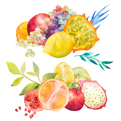 Watercolor set of compositions of summer exotic fruits. Isolated from white background