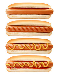 HOT DOG isolated on white background, clipping path, full depth of field
