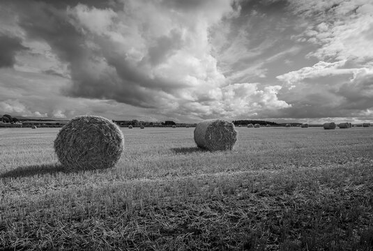 Skirwith Hay Bales in Monochrome