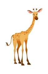 Jungle wild giraffe. Colorful beautiful safari or zoo cartoon animal, wildlife trendy exotic print, african fauna. Vector isolated illustration
