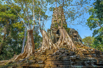 Ancient Preah Palilay temple in Angkor Thom and huge Banyan trees. Angkor, Cambodia.