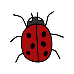 A Doodle-style ladybug isolated on a white background. Family of beetles. Convex oval body with black spots. Can be used for printing on t-shirts or other clothing or fabric. Vector illustration.