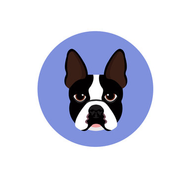 French Bulldog vector dog icon