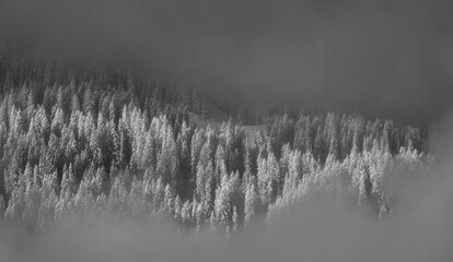 winter, landschaft, schnee, natur, baum, wald, himmel, erkältung, nebel, baum, see, morgen, frost,...