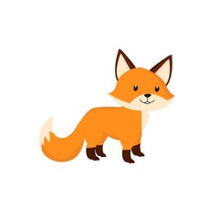 Fox Illustration