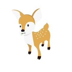 Deer Illustration