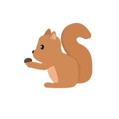 Squirrel Illustration
