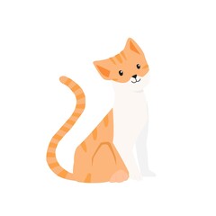 Cat Illustration