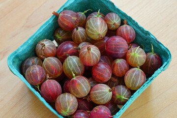 Container of purple gooseberries at a farmers market