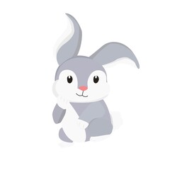 Rabbit Illustration