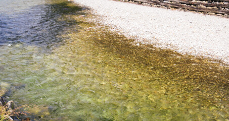 Mountain stream in Tatra Mountains. Outdoor river landscape. Scenery in Poland.
