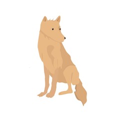 Dog Illustration