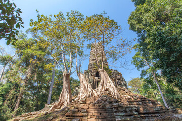 Ancient Preah Palilay temple in Angkor Thom and huge Banyan trees. Angkor, Cambodia.