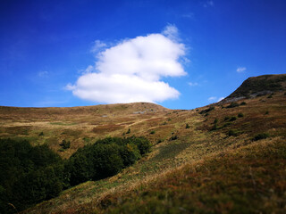 Beautiful landscape on Bieszczady. Polish mountains. Artistic view in colours.