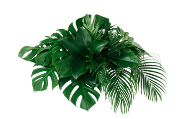 Group Green leaves tropical foliage plant bush of philodendron, dracaena and fern floral arrangment nature backdrop isolated on white background, clipping path included. © eakarat