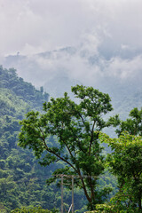 Obraz premium Top of the mountain covered with cloud in Rishikesh in Indian himalayas terrain