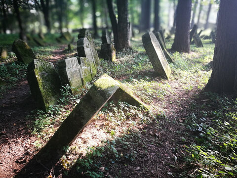 Kirkut, abandoned Jewish cemetery on Lesko, Poland.
