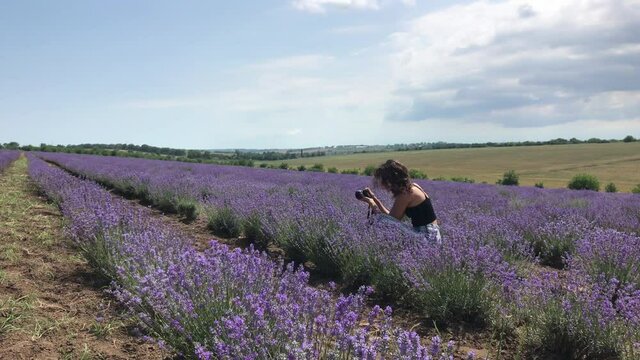 Beautiful woman photographs lavender on a bright sunny day. Lavender field in rows of blooming lavender Provence France. Beautiful flowers lilac lavadna aroma oil.
