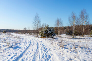 Fototapeta na wymiar Landscape with winter forest and bright sunbeams. Sunrise, sunset in beautiful snowy forest.