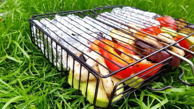 Barbecue grill with prepared sliced vegetables and fish pieces wrapped in foil. Picnic, grate is placed on the trampled grass, the camera stands still on the grass, 4K video